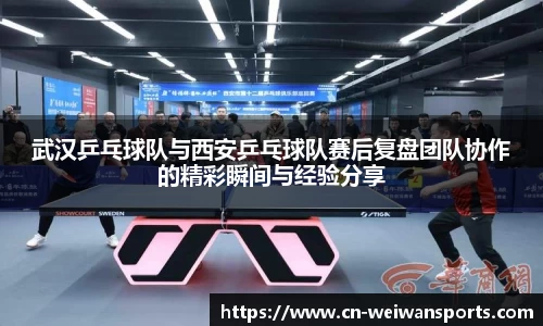 微玩体育官网